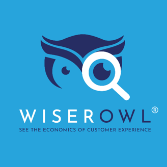 WiserOwl logo homepage footer1